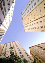 Xavierhills